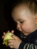 Click to view the full picture of PICT0007apple.jpg