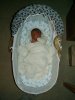 Click to view the full picture of bassinet.jpg